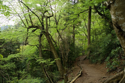 高尾山 4号路