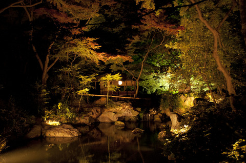 六義園「紅葉と大名庭園のライトアップ」