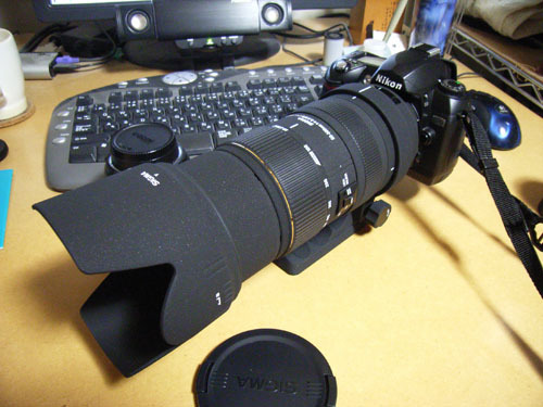 SIGMA APO 50-500mm F4-6.3 EX DG /HSM レビュー: くろねこ三等兵 写真