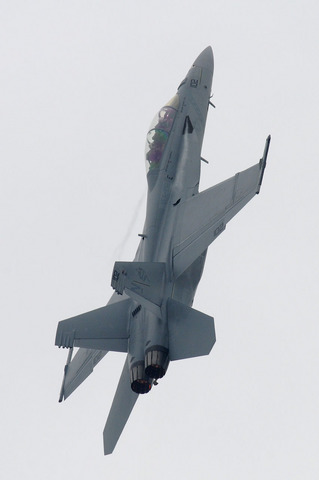 2010年 米海兵隊 岩国基地フレンドシップデー F/A-18Fフライトデモ