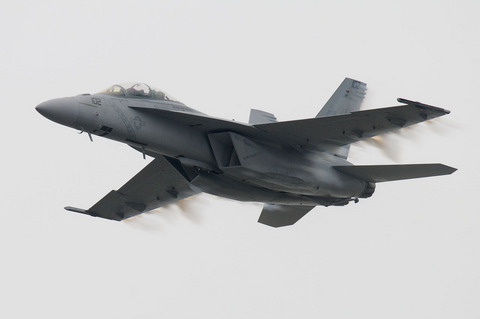 2010年 米海兵隊 岩国基地フレンドシップデー F/A-18Fフライトデモ