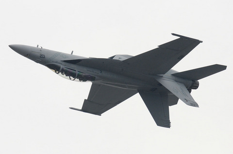 2010年 米海兵隊 岩国基地フレンドシップデー F/A-18Fフライトデモ