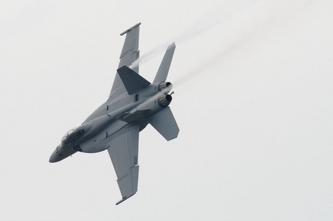 2010年 米海兵隊 岩国基地フレンドシップデー F/A-18Fフライトデモ